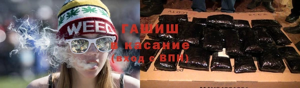 СК Елизово