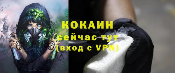 СК Елизово