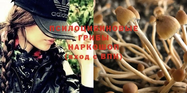 СК Елизово