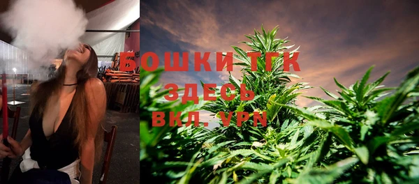 СК Елизово