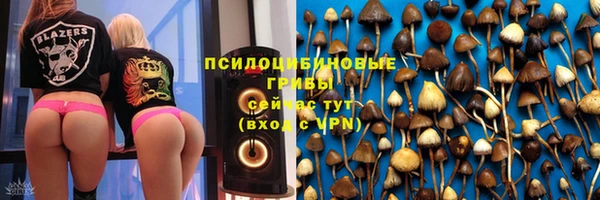 экстази Ельня