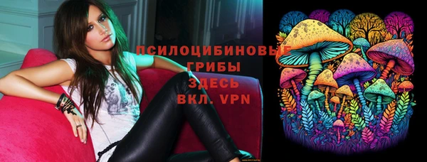 СК Елизово