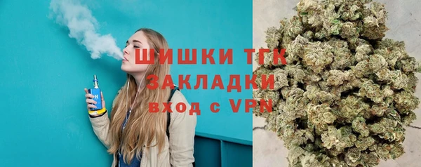 СК Елизово