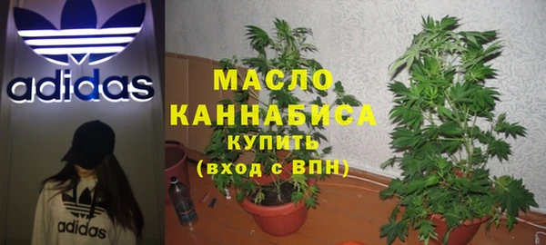 экстази Ельня