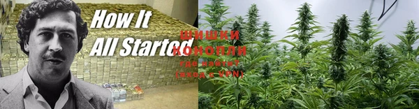 экстази Ельня