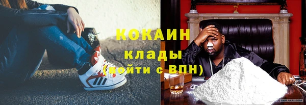 СК Елизово