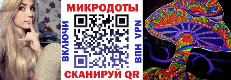 Купить где  Пойковский  Галлюциногенные грибы Psilocybine cubensis 